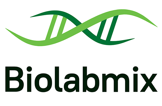 Bst DNA Polymerase, Large Fragment
