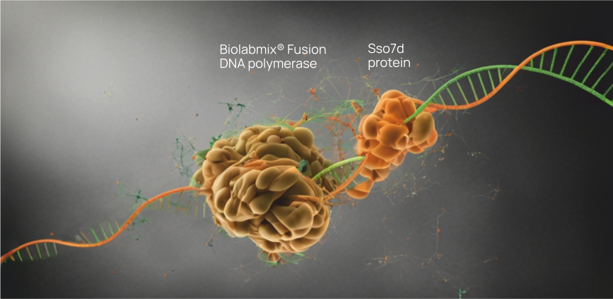 Высокоточные ДНК-полимеразы Biolabmix®